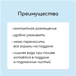 Набор для рассады: стаканы по 300 мл (10 шт.), поддон 41×17 см, цвет МИКС