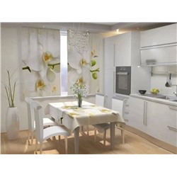 шторы для кухни без тюля 3*1,7 м