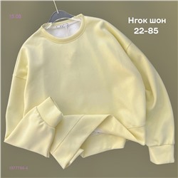 Худи 1977784-4