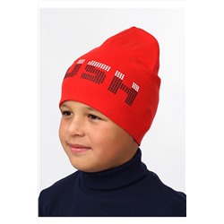 Шапка CLEVER, 869239