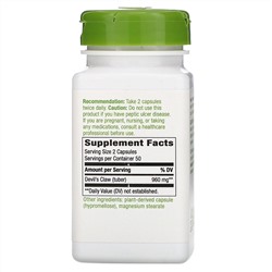 Nature's Way, Devil's Claw (чертов коготь), вторичный корень, 480 мг, 100 растительных капсул