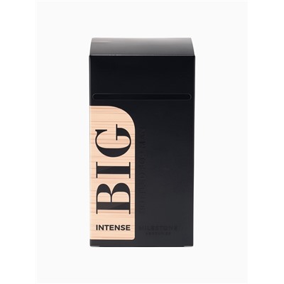 Парфюмерная вода мужская BIG BOTTLED FOR MAN INTENSE, 100 мл (мот HUGO BOSS Boss The Scent)