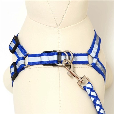 Шлейка с поводком «Плетенка», ОГ 32-48×1.5 с, поводок 115×1 см, флуоресцентная, синяя