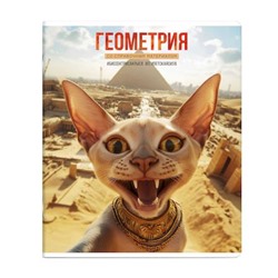 Тетрадь  48л "СЕЛФИ" по геометрии 69836 Феникс