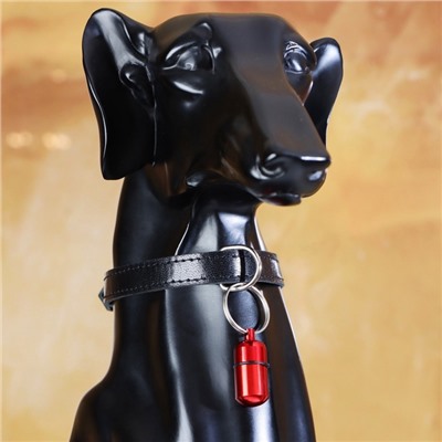 Адресник - капсула под записку, 2.2×1.3 см, металл, бордовый