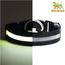 Ошейник с подсветкой размер S, ОШ 35-43×2.5 см, 3 режима свечения чёрный