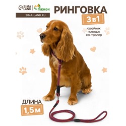Ринговка для собак, с вертлюгом, 150×0.6 см, красная/синяя