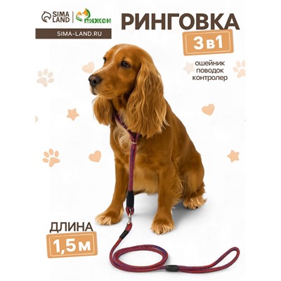 Ринговка для собак, с вертлюгом, 150×0.6 см, красная/синяя