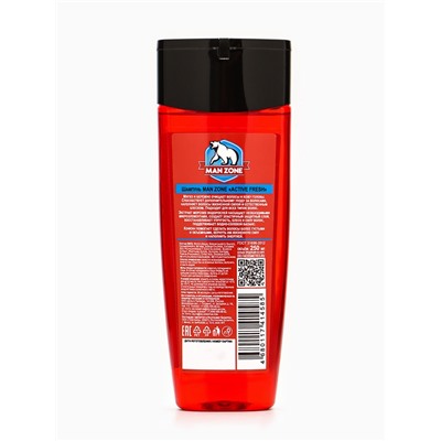 Подарочный набор мужской MAN ZONE ACTIVE FRESH, гель для душа 250 мл, шампунь 250 мл