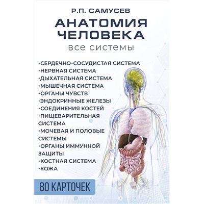 АСТ Самусев Р.П. "Анатомия человека. 80 карточек. Все системы"