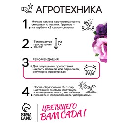 Семена цветов Петуния  Махровая Каскадная Блю&Орхид F1, смесь, О, 8 шт