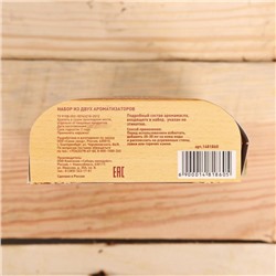 Набор «Лечебная сила»: 2 ароматизатора 100 мл