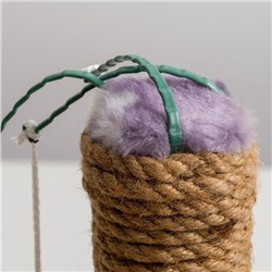 Лежанка с когтеточкой для котят, 34×26×34 см, джут, микс цветов