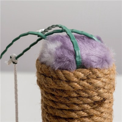Лежанка с когтеточкой для котят, 34×26×34 см, джут, микс цветов