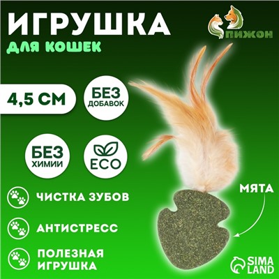 Игрушка для кошек из прессованной кошачьей мяты «Стрела», 4.5 см