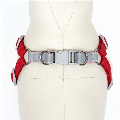 Комплект Sport+, S, поводок 120×1.5 см, ОШ 39-41 см, ОГ 44-48 см, вес животного 7-13 кг, красный