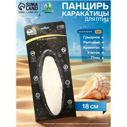 Панцирь каракатицы для птиц, 18 см, белый