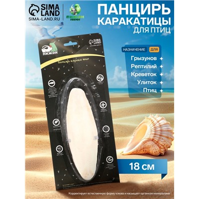 Панцирь каракатицы для птиц, 18 см, белый