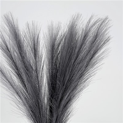 Сухоцветы искусственные «Пампасная трава», 43 см, 3 шт., тёмно-серый