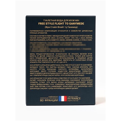 Туалетная вода мужская Free Style Flight to Ganymede, 100 мл
