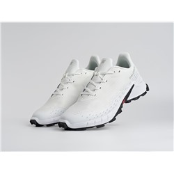 Кроссовки Salomon Alphacross 5 GTX