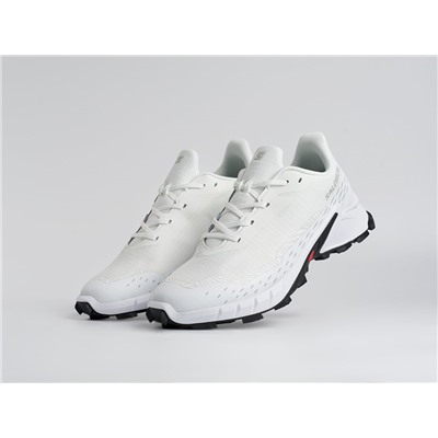 Кроссовки Salomon Alphacross 5 GTX