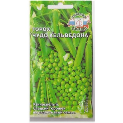 Горох Чудо Кельведона (Код: 12554)