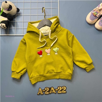 Кофта с начесом 1843660-4