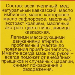Мазь монастырская «Бизорюк. Гладкая кожа», 25 мл