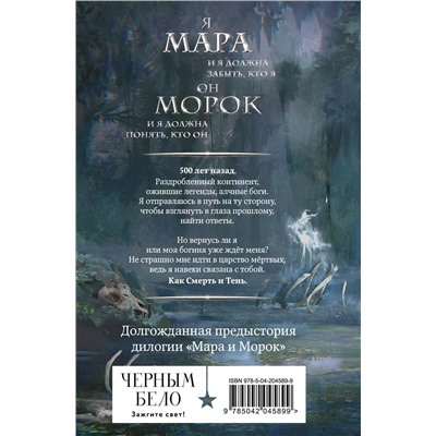 445256 Эксмо Лия Арден "Мара и Морок. 500 лет назад (формат клатчбук)"