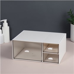 Органайзер для хранения BASIC, многоуровневый, 3 секции, 22.9×17.5×10 см, белый, прозрачный