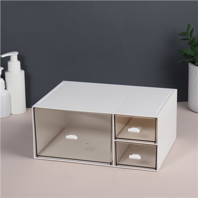 Органайзер для хранения BASIC, многоуровневый, 3 секции, 22.9×17.5×10 см, белый, прозрачный