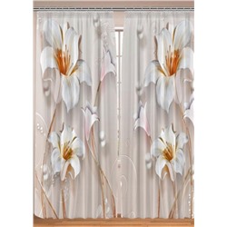 Фотошторы #23062469