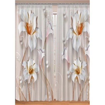 Фотошторы #23062469