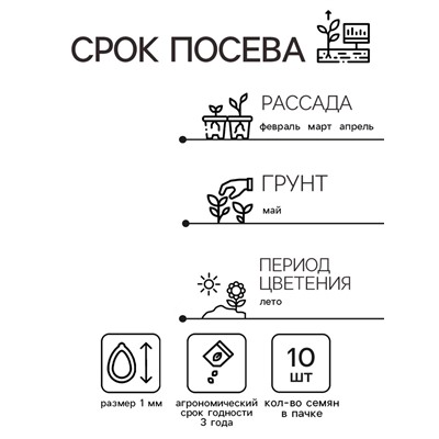 Семена цветов Колеус Визард Роуз, 10шт