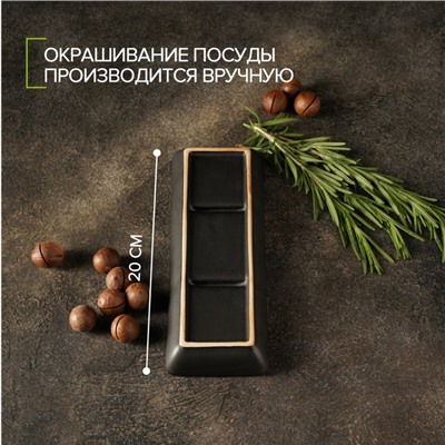 Менажница 3 секции «Таллула», 20.5×7.5×2.5 см, керамика