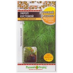 Укроп Русский размер кустовой (Код: 7972)