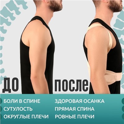 Массажёр - фиксатор для осанки и поясницы, на фастексах, размер 2XL-3XL, бежевый