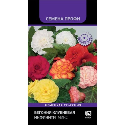 Бегония Инфинити Микс (Код: 93365)