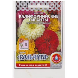 Цинния Калифорнийские гиганты  (Код: 77831)