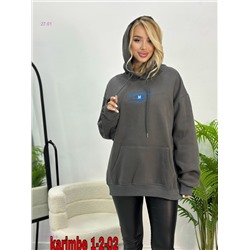 Толстовка с начесом 2057626-6