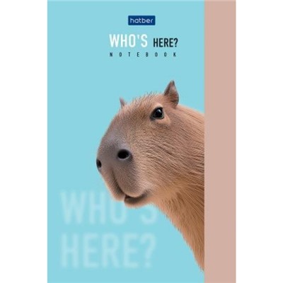 Блокнот А6  40л клетка на склейке "Кто здесь?" (093598) Хатбер