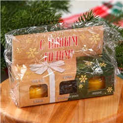 Подарочный набор новогодний «Радостных дней», 2 крем-меда и варенье с шишками по 30 г