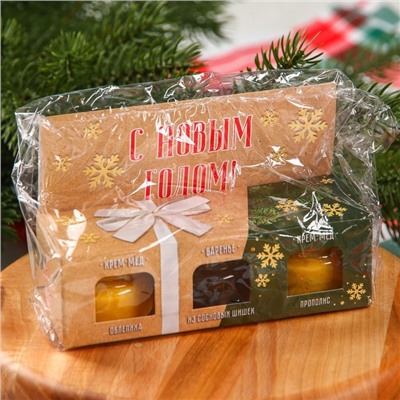Подарочный набор новогодний «Радостных дней», 2 крем-меда и варенье с шишками по 30 г