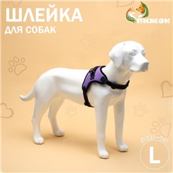 Шлейка К7 мягкая светоотражающая, размер L, ОГ 64-86 см, вес 18- 27.5 кг, фиолетовая