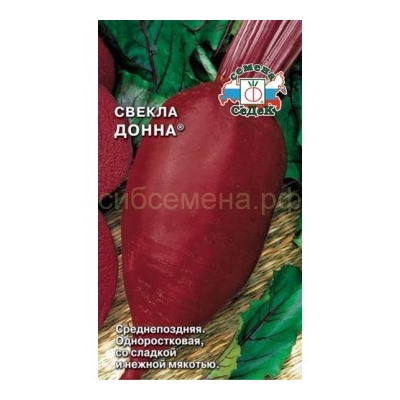 Свекла Донна (Седек)