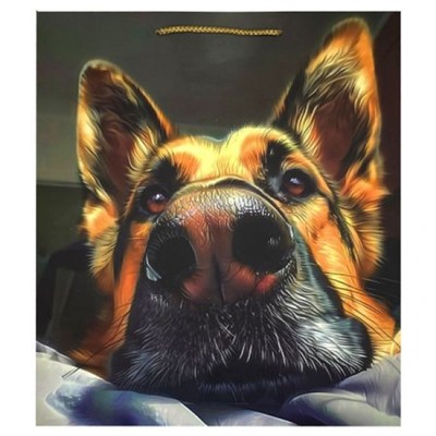 Пакет бумажный 35х40 см "Овчарка" 72804 Centrum