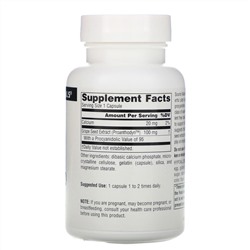 Source Naturals, Proanthodyn, Grape Seed Extract, 100 mg, 120 Capsules