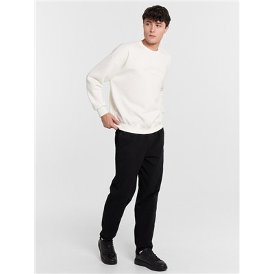 БРЮКИ МУЖСКИЕ 2024-2CTM901-2