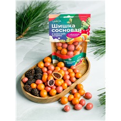 Шишка сосновая в шоколаде Ассорти Облепиха и Клюква / дой пак / 60 г / LARCH